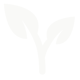 Nova Ateliers